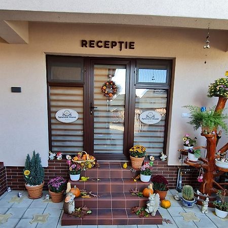 מלון Făgăraş Splendid House מראה חיצוני תמונה