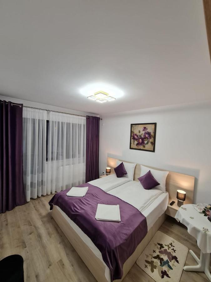 מלון Făgăraş Splendid House מראה חיצוני תמונה