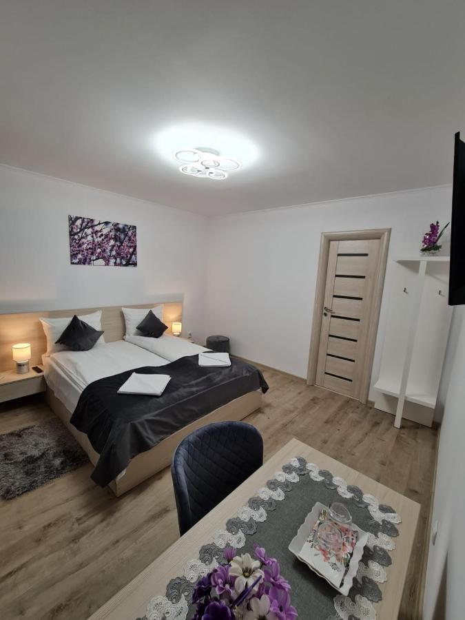 מלון Făgăraş Splendid House מראה חיצוני תמונה