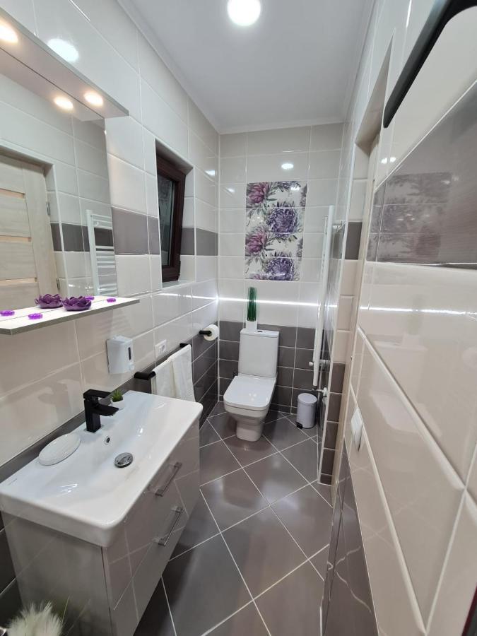 מלון Făgăraş Splendid House מראה חיצוני תמונה