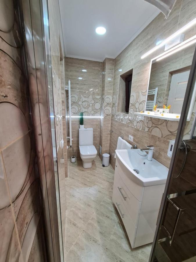 מלון Făgăraş Splendid House מראה חיצוני תמונה