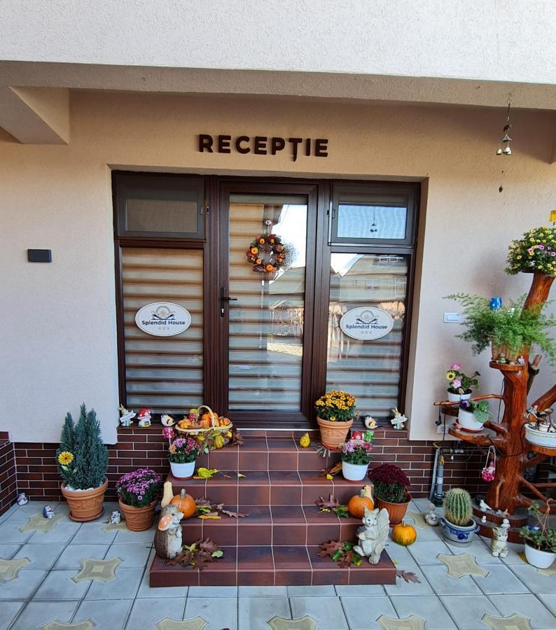 מלון Făgăraş Splendid House מראה חיצוני תמונה