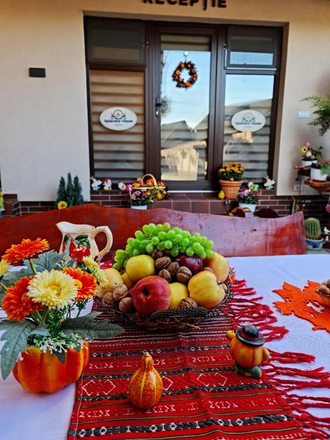 מלון Făgăraş Splendid House מראה חיצוני תמונה